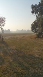 Scenic view of field against clear sky