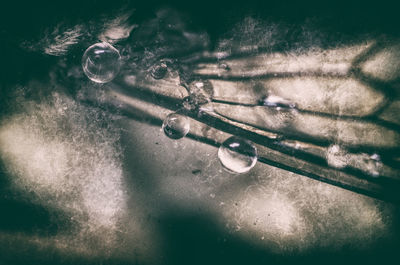 High angle view of bubbles in water
