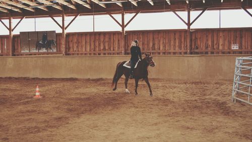 Young woman and horse in stable