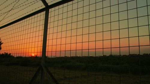 Close-up of field against sky during sunset