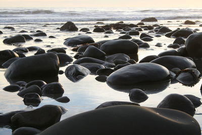 Rocks on beach against sky during sunset