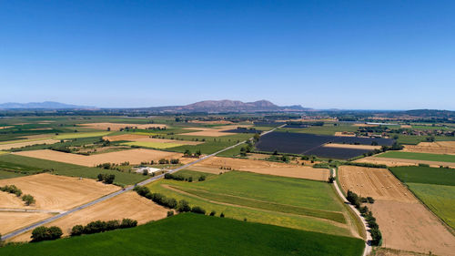 Scenic view of agricultural field against clear sky