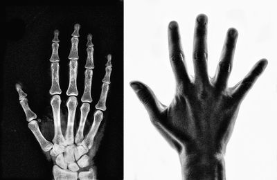 Close-up of human hand against white background