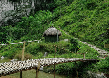 View of hut in forest