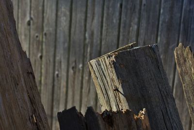 Close-up of wooden fence