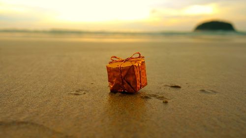 Close-up of orange leaf on beach against sky during sunset