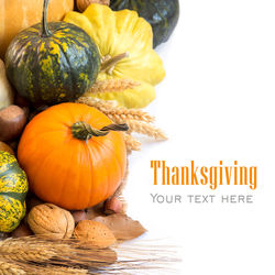 Close-up of pumpkins against white background