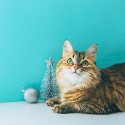 Portrait of cat sitting on table