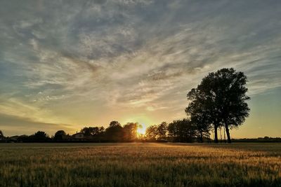 Scenic view of field against sky during sunset