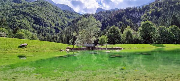 Scenic view of lake and trees against mountains