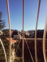 Trees against clear blue sky