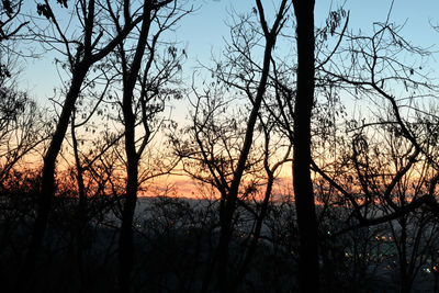 Silhouette bare trees against sky during sunset