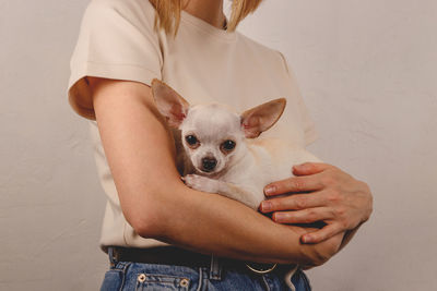 Woman holding small chihuahua dog in her arms at home