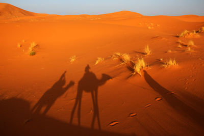 Shadow of people and camels in desert against sky