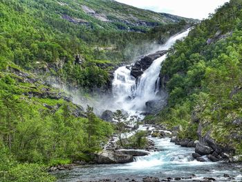 Waterfall in forest