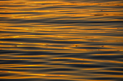 Close-up of rippled water at sunset