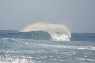 Surfer in sea against sky