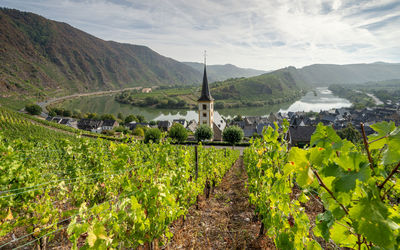 Panoramic image of bremm with loop of moselle river, germany