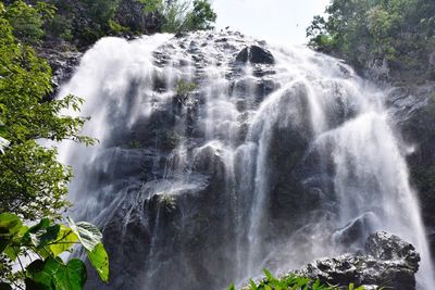 Low angle view of waterfall in forest