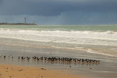 Scenic view of sea against sky on sunny day