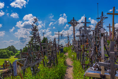 Plants growing in temple against sky