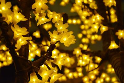 Close-up of yellow tree at night