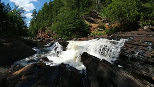 Water splashing on trees against sky