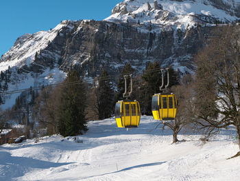 Yellow snow covered land and mountains