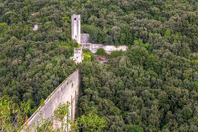 Ancient fortress hidden by a green forest