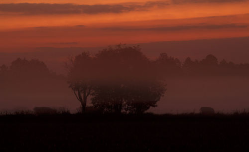 Silhouette trees on field against orange sky