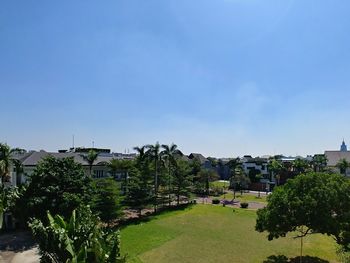 Trees and buildings against blue sky