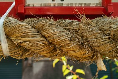 Close-up of rope tied up on clothesline