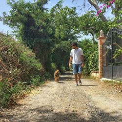 Full length of dog on landscape against trees