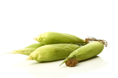 Close-up of corns over white background