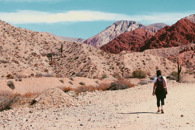 Rear view of woman walking on mountain against sky