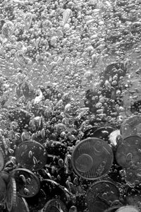 Close-up view of coins