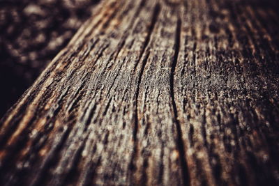 Close-up of wooden plank