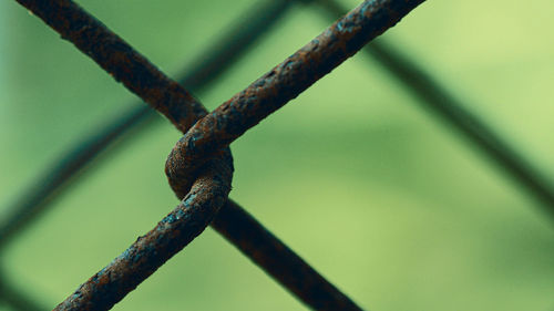 Close-up of barbed wire on fence