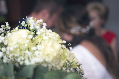 Close-up of white flowering plant