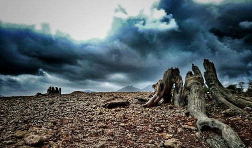 Low angle view of landscape against sky