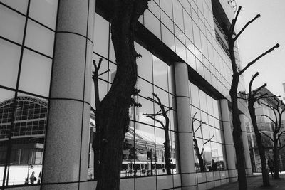 architecture