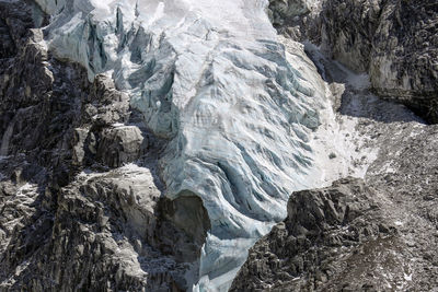 Close-up of frozen trees during winter