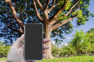 Cropped hand holding smart phone against tree