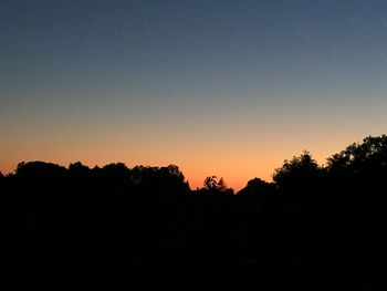 Silhouette trees against clear sky during sunset