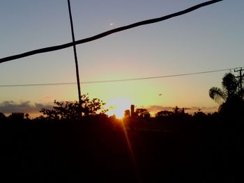 Silhouette of trees at sunset