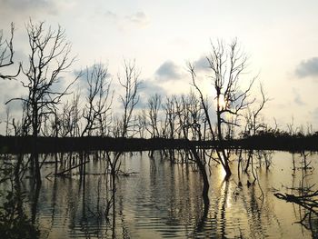 Silhouette bare tree by lake against sky