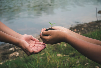 Close-up of cropped hands of person giving seeding to friend by lake