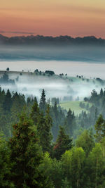 Scenic view of landscape in foggy weather during sunrise 