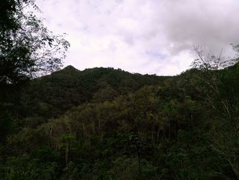 Low angle view of mountain against sky