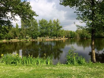 Scenic view of pond in park